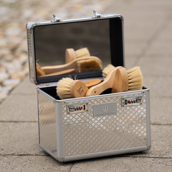 Birstes un citi piederumi