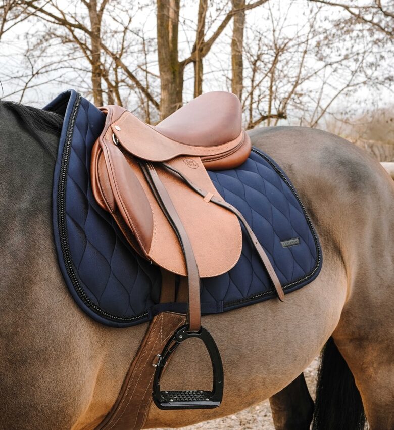 Zirga sviedrene Pearl zila