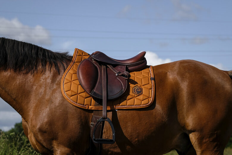 Sviedrene Hexalight - oranža