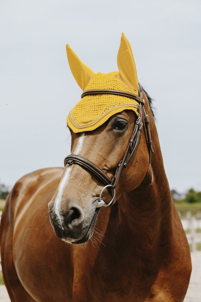 Mušu cepure Hexalight - dzeltena