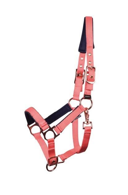 Apauši kumeļam Pepper rozā