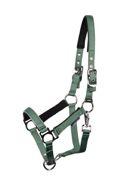 Apauši kumeļam Pepper zaļi