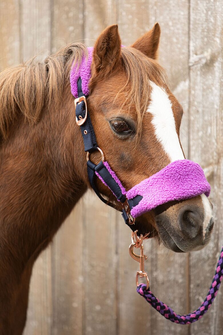 Apaušu un pavadas komplekts LouLou Royce
