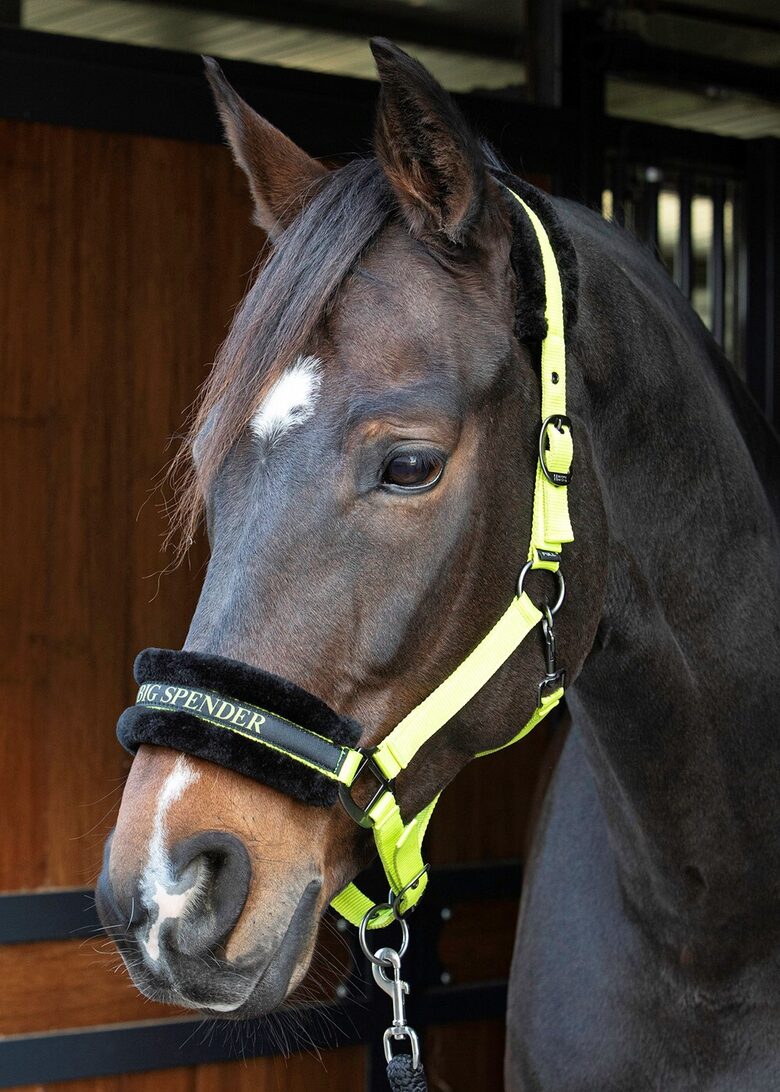 Apauši Hey big spender