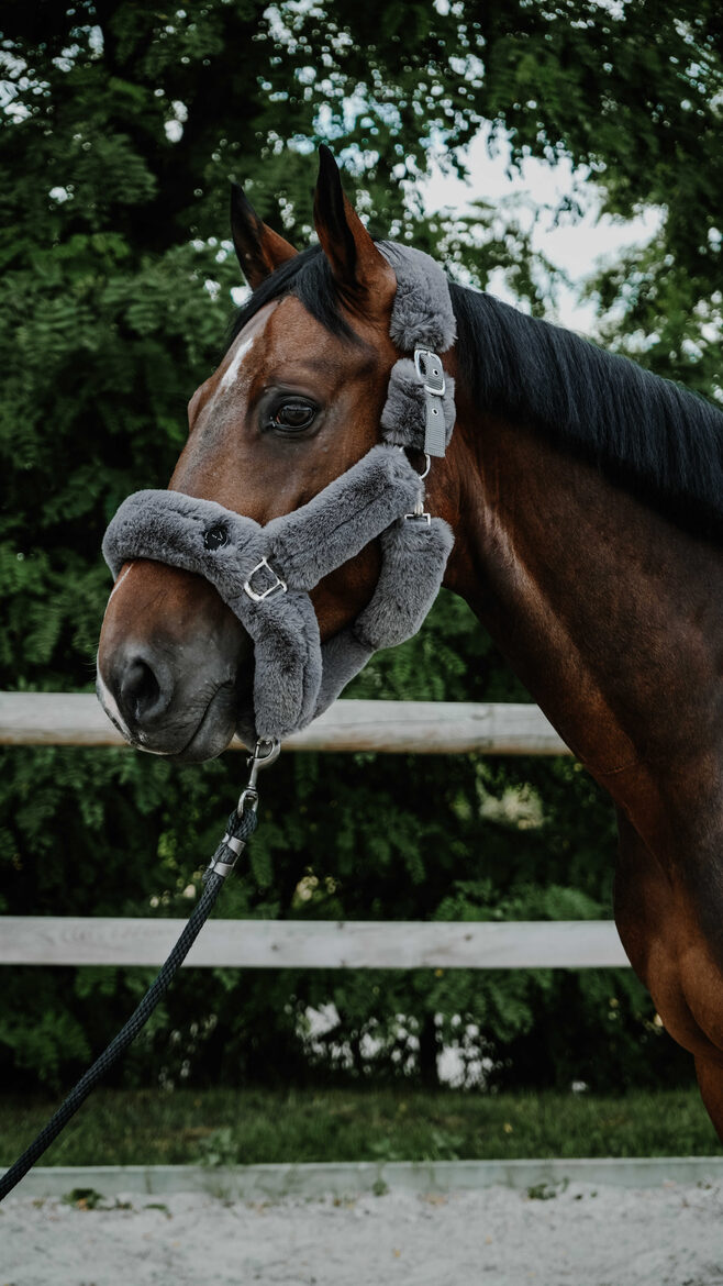 Apauši Snuggy pelēki