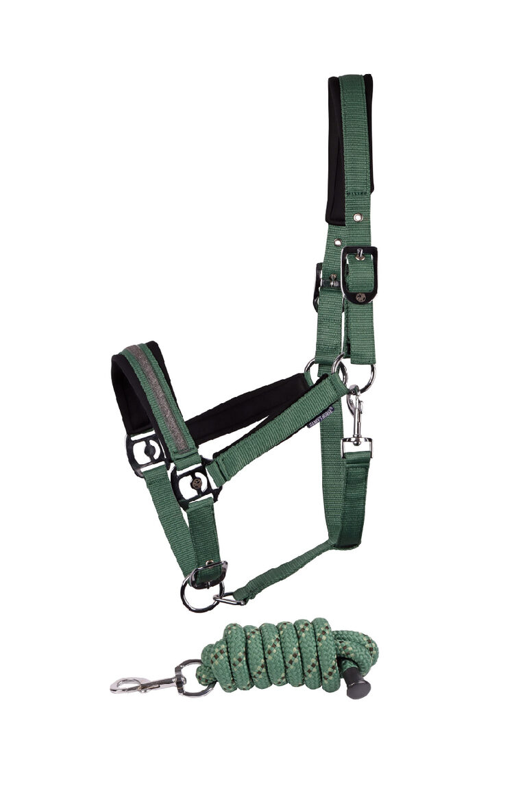 Apauši Samara ar pavadu - zaļi