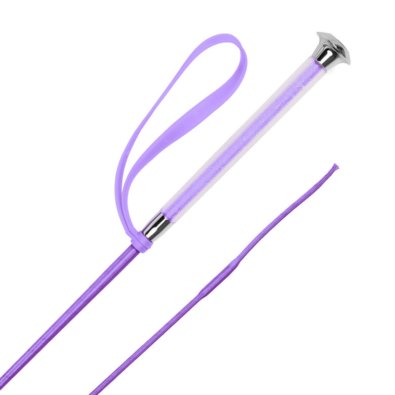 Jāšanas steks colour violets