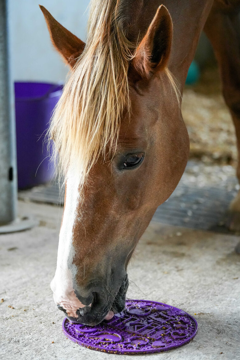 LIKIT Graze Maze paklājiņš