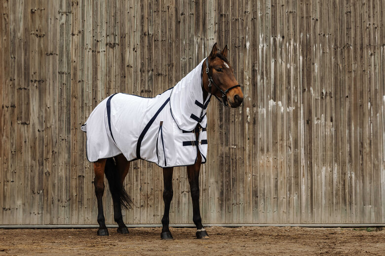 Mušu sega zirgam Mesh Combo