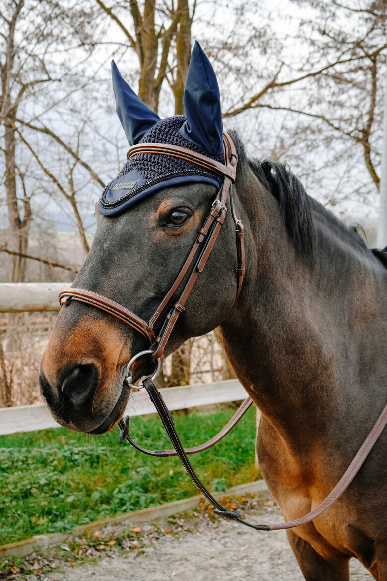 Zirga austiņas Pearl zilas