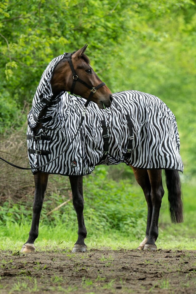 Mušu sega Zebra ar kaklu