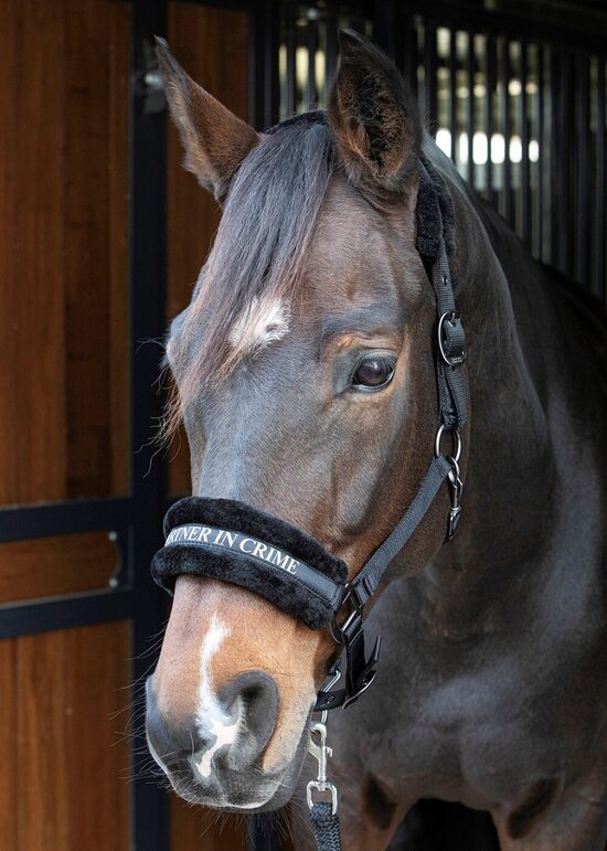 Apauši Partner in crime