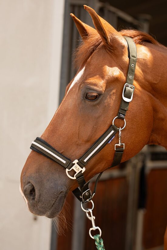 Apauši un pavada Valli - zaļi