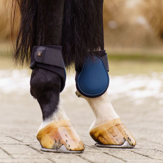 Kājsargi Lovely Sapphire - pakaļkājām