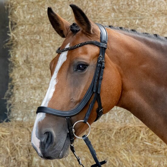 Anatomiskie iemaukti Black Crystal