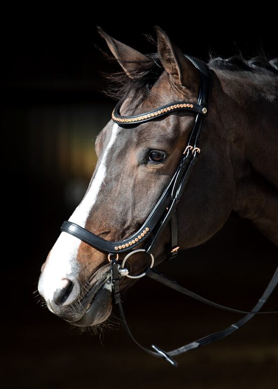 Anatomiskie iemaukti Rosegold