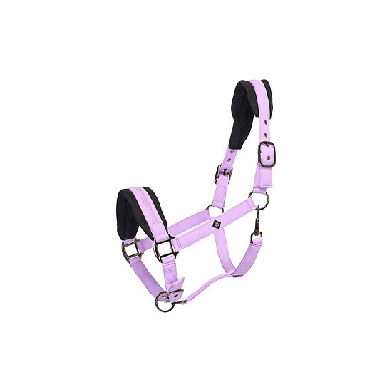 Zirga apauši Jewel Mesh Whisteria