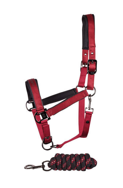 Apaušu un pavadas komplekts ponijam Satin Eli