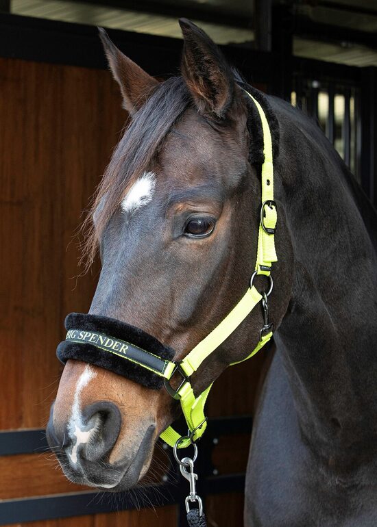 Apauši Hey big spender