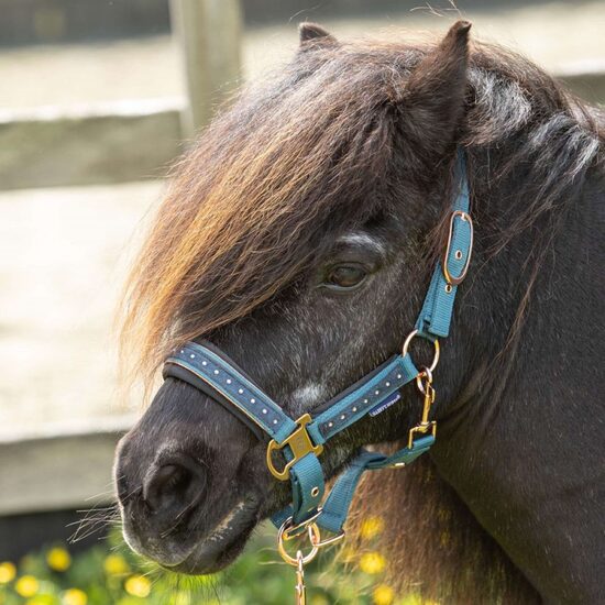 Apaušu un pavadas komplekts Crystal Teal