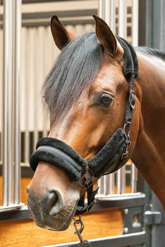 Apaušu un pavadas komplekts Soft Billie melni