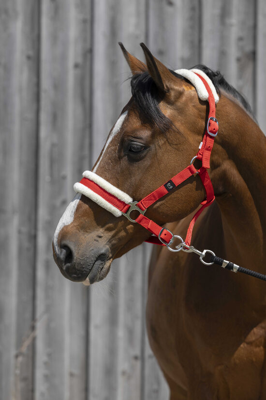 Apauši ponijam ar sintētisko aitas vilnu sarkani