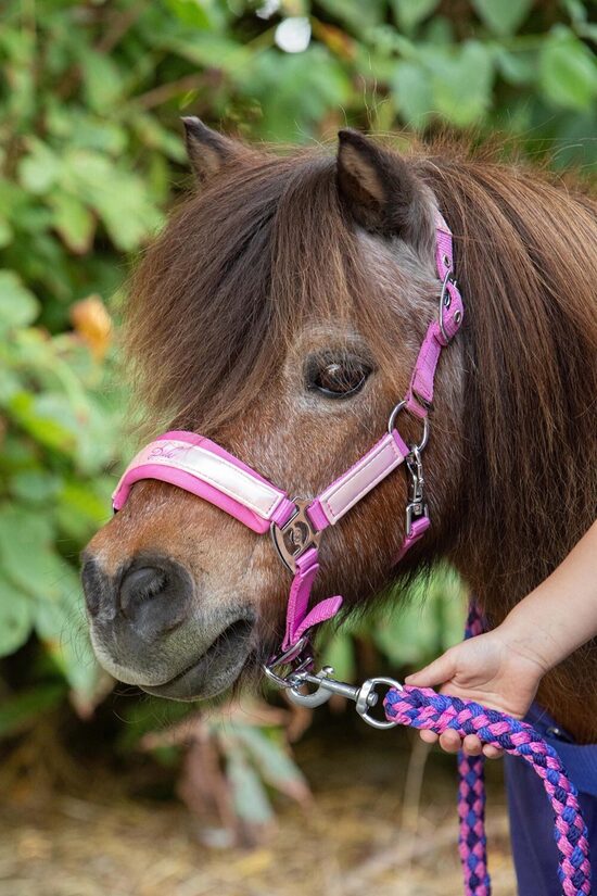 Apauši Diva ar pavadu - rozā