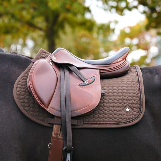 Zirga sviedrene Maria brūna