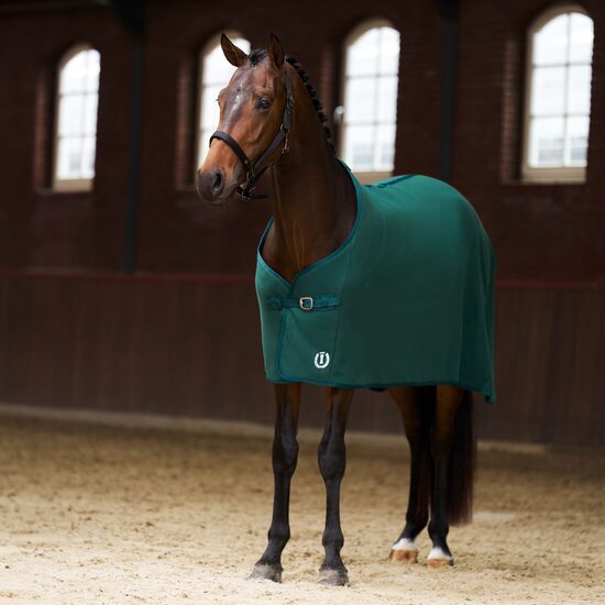 Flīsa sega Fundamental zaļa