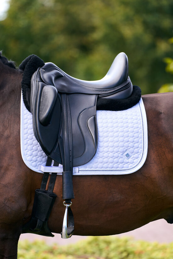 Iejādes sviedrene Maria balta