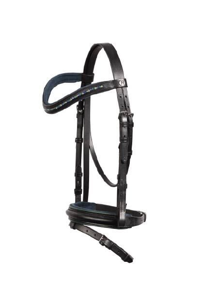 Iemaukti ponijiem Stout