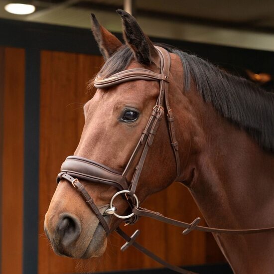 Iemaukti Soft Bombastic brūni