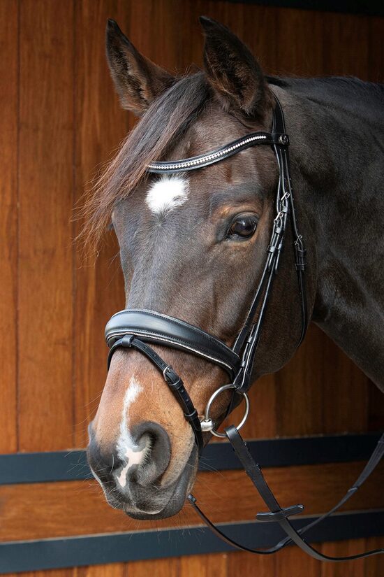 Iemaukti Petit Crystal