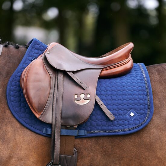 Zirga sviedrene Maria zila