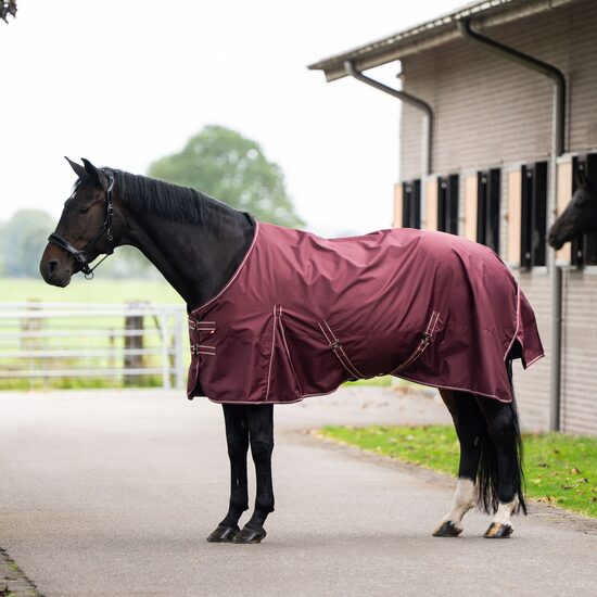 Āra sega zirgm Basic Summer