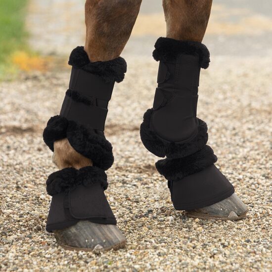 Kājsargi zirgam Anne