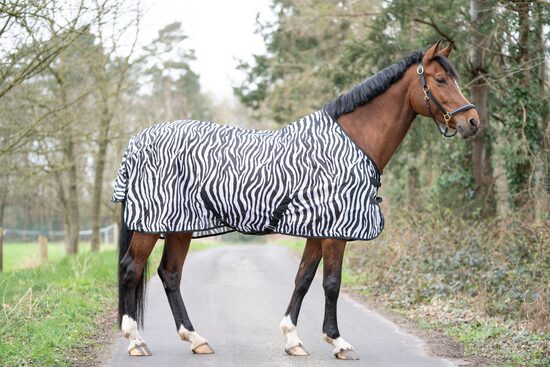 Zirga mušu sega bez kakla Zebra