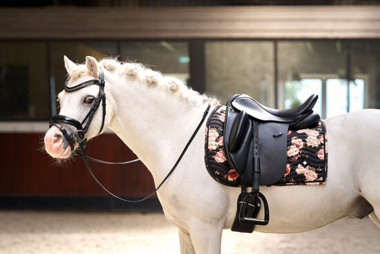 Sviedrene Rebel ziedi