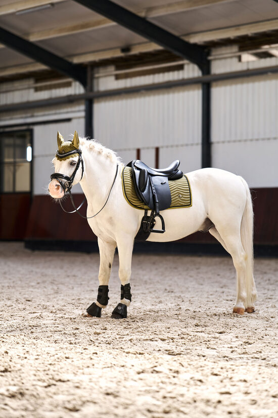 Sviedrene Rebel zaļa