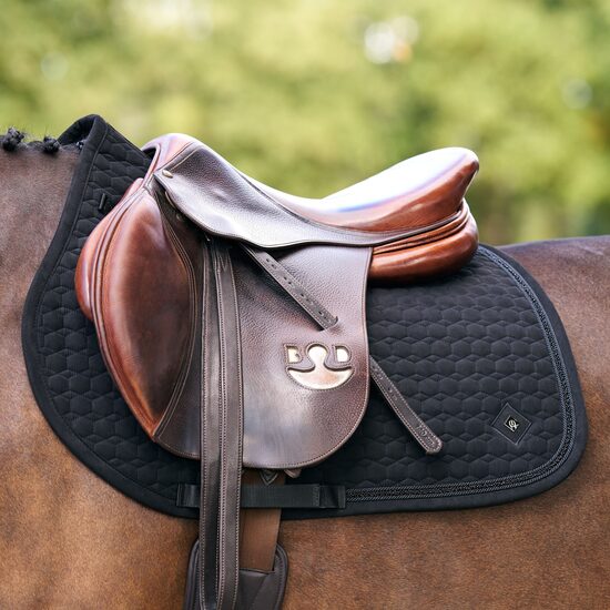 Zirga sviedrene Maria melna