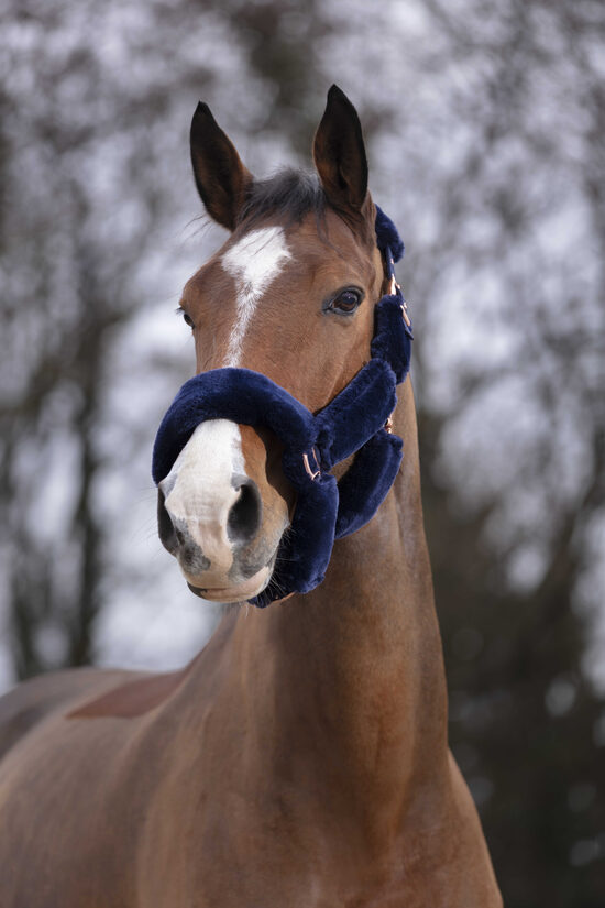 Teddy Rose Gold apauši zili