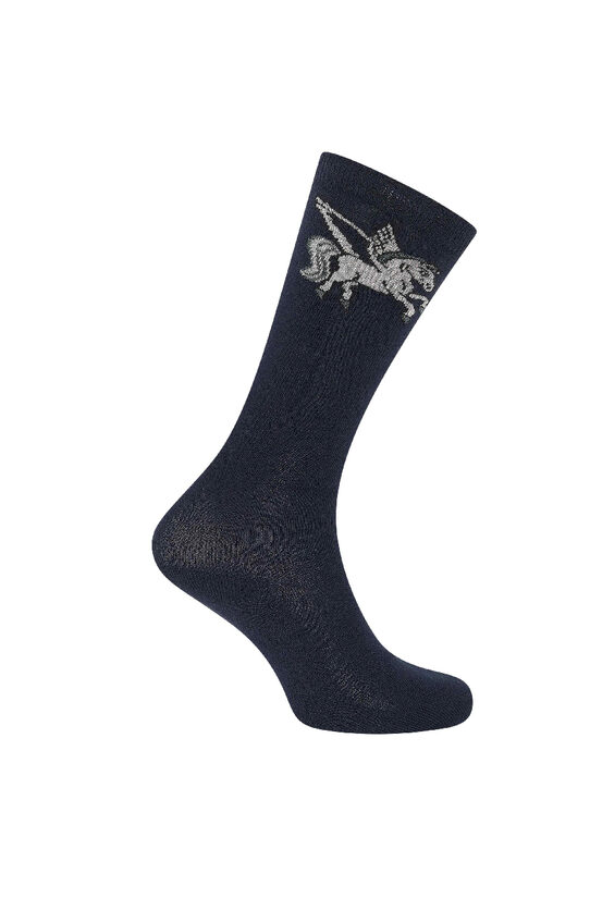 Zeķes Pegasus