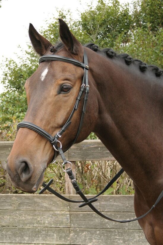 Beztrenzes iemaukti melni