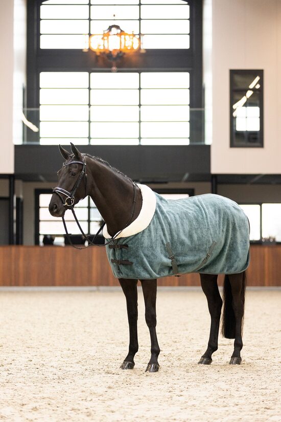 Flīsa sega zirgam Ambient Galaxy