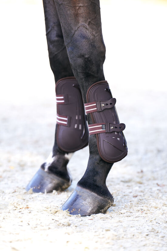 Zirgu kājsargi Pro Mesh Tendon brūni