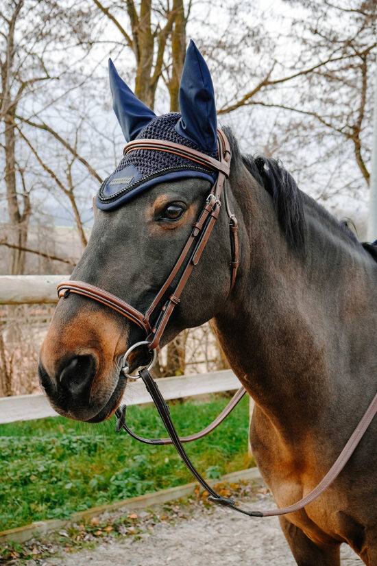 Zirga austiņas Pearl zilas