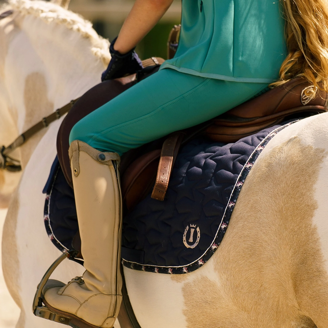 sviedrene zirgiem un ponijiem